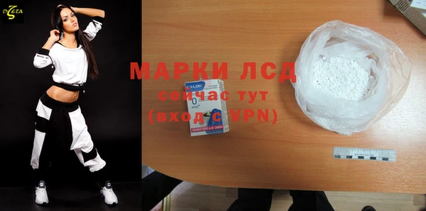 прущие грибы Абаза