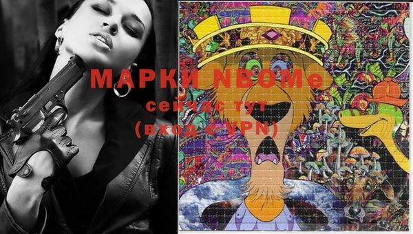 стаф Ладушкин