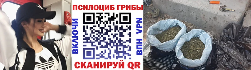 Псилоцибиновые грибы Cubensis  наркота  Ставрополь 