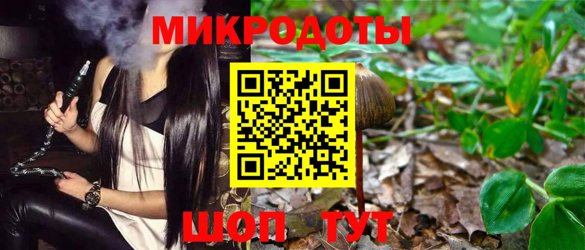 Галлюциногенные грибы Magic Shrooms Ставрополь